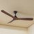 132cm 52-inch Black-Walnut DC Ceiling Fan Remote Control 3 Blade 30W