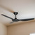 132cm 52-inch Black DC Ceiling Fan Remote Control 3 Blade 40W 6 Speed