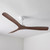 132cm 52-inch White-Koa DC Ceiling Fan Remote Control 3 Blade 30W