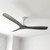 Noble 132cm 52-inch White-Black DC Ceiling Fan Remote Control 3 Blade 30W