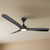Noble 132cm 52-inch Black DC Ceiling Fan With Light Remote Control 3 Blade 30W
