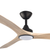 Noble 152cm 60-inch Black-Oak DC Ceiling Fan With Light Remote Control 3 Blade 35W