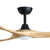 152cm 60-inch Black-Timber DC Ceiling Fan Light Remote Control 3 Blade 39W