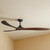 183cm 72-inch Black-Walnut DC Ceiling Fan Remote Control 3 Blade 39W 6 Speed