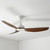 Pisacane 122cm 48-inch White-Koa DC Ceiling Fan Remote Control 3 Blade 39W 6 Speed