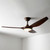Saffron 132cm 52-inch Bronze-Koa DC Ceiling Fan With Light Remote Control 3 Blade 40W