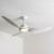 142cm 56-inch White DC Ceiling Fan With Light Remote Control 3 Blade 39W
