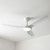 132cm 52-inch White DC Ceiling Fan With Light Remote Control 3 Blade 40W