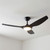 132cm 52-inch Black DC Ceiling Fan With Light Remote Control 3 Blade 40W