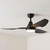 114cm 45-inch Black DC Ceiling Fan With Light Remote Control 3 Blade 15W
