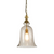 Pendant Light 32cm Brass Clear Bell Glass Shade E27 40W