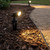 Garden Spike Light Black 12V MR11 3W 3000K 240lm IP65