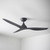 122cm 48-inch Black DC Ceiling Fan Smart Remote Control 3 Blade 45W 6 Speed