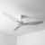 132cm 52-inch White DC Ceiling Fan Smart Remote Control 3 Blade 45W 6 Speed