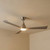 132cm 52-inch Nickel-Driftwood DC Ceiling Fan With Light Smart Remote Control 3 Blade 36W