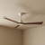 132cm 52-inch White-Walnut DC Ceiling Fan Smart Remote Control 3 Blade 36W 6 Speed
