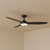 142cm 56-inch Black DC Ceiling Fan With Light Smart Remote Control 3 Blade 39W