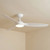 142cm 56-inch White DC Ceiling Fan With Light Smart Remote Control 3 Blade 39W