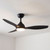 Giolitti 122cm 48-inch Black DC Ceiling Fan With Light Smart Remote Control 3 Blade 36W