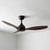 122cm 48-inch Black-Walnut DC Ceiling Fan Smart Remote Control 3 Blade 36W 6 Speed