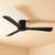 132cm 52-inch Black DC Ceiling Fan Smart Remote Control 3 Blade 33W 6 Speed