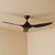 132cm 52-inch Black DC Ceiling Fan Remote Control Smart 3 Blade 33W 6 Speed