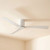 132cm 52-inch White DC Ceiling Fan With WiFi Smart Remote 3 Blade 33W 6 Speed Low Profile