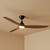 132cm 52-inch Black-Teak DC Ceiling Fan With Light Smart WIFI Remote 3 Blade 33W
