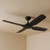 122cm 48-inch Black DC Ceiling Fan Smart WiFi Remote 4 Blade 33W 6 Speed