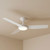 132cm 52-inch White DC Ceiling Fan With Light WiFi Smart Remote 3 Blade 36W