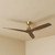 132cm 52-inch Bronze-Walnut DC Ceiling Fan Remote Control Smart 3 Blade 28W 6 Speed
