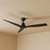132cm 52-inch Black DC Ceiling Fan Remote Control 3 Blade Smart 28W 6 Speed