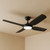 132cm 52-inch Black DC Ceiling Fan With Light Smart WiFi Remote 4 Blade 36W