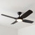 122cm 48-inch Black DC Ceiling Fan With Light WiFi Smart Remote 4 Blade 33W