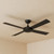 132cm 52-inch Black DC Ceiling Fan Remote Control 4 Blade 36W 6 Speed