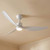 127cm 50-inch White DC Ceiling Fan With Light Smart WIFI Remote 3 Blade 33W