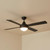122cm 48-inch Black AC Ceiling Fan With Light 4 Blade 55W 3 Speed