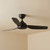 132cm 52-inch Black DC Ceiling Fan Remote Control 3 Blade Smart 33W 6 Speed