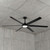 203cm 80-inch Black DC Ceiling Fan With Light WiFi Smart Remote 6 Blade 55W