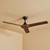 132cm 52-inch Black-Walnut DC Ceiling Fan WiFi Smart Remote 3 Blade 33W 6 Speed