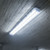 Explosion-Proof LED Batten Light 1311mm 50W 6250lm 5000K IP66 IK10