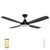 137cm 54-inch Black DC Ceiling Fan With Light WiFi Remote 4 Blade 35W