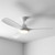 Chadwick 132cm 52-inch White DC Ceiling Fan With Light Remote Control 3 Blade 35W