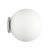 Wall Light 8cm Opal Glass G9 4W IP44