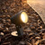 Garden Spike Light Black 12V 6.5W MR16 IP67 Adjustable Head