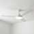 Comolli 137cm 54-inch White DC Ceiling Fan Light Remote 3 Blade 35W 6 Speed