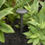 Garden Spike Light Black 12V LED 4.5W 3000K 366lm IP65