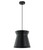 Pendant Light 25cm Black Iron E27 72W Adjustable Cord