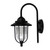 Modern Black Coach Light With Clear Diffuser