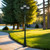 Period 3 Head Curved Arm Tall Post - Green Finish B22 Made In Italy